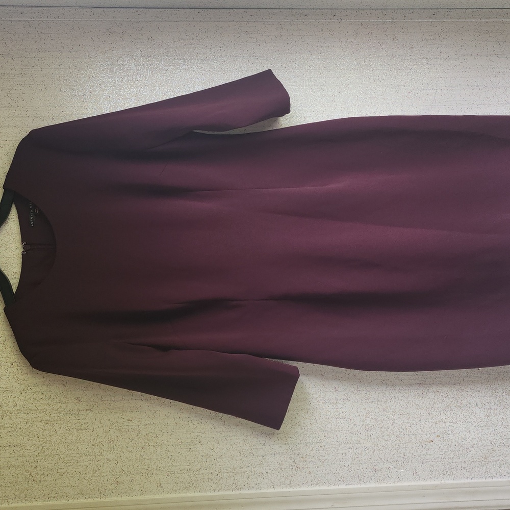 Antonio Melani Size 12 Eggplant Dress